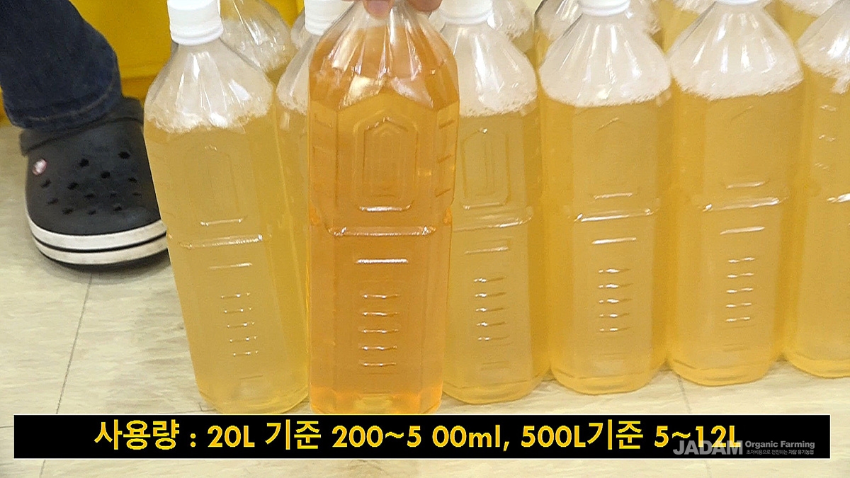 자닮오일 20L 완성. 자닮오일은 생활용 세제로 사용할 수도 있다.