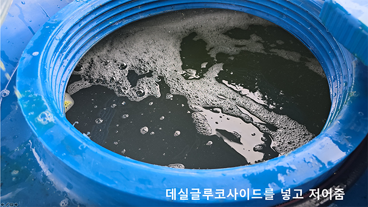미생물 배양액에 데실글루코사이드를 혼합하면 즉각적으로 강력한 살충제가 된다.
