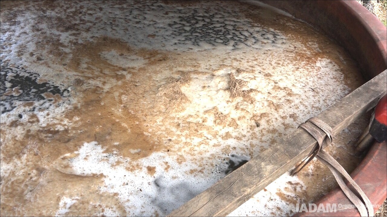 부엽토 거름망에 기존의 찌꺼기를 두고 새로운 부엽토를 추가해서 배양하면 같은 조건에서 훨씬 더 왕성하게 미생물이 배양되었다.