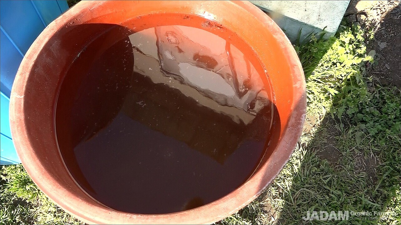 45리터 통에 소금 10킬로를 넣어서 소금물을 만들어 놓고 미생물 배양시에 비커로 2리터씩 떠서 넣는다. 
