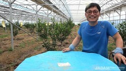 거세미 바로 죽는 JMP, 효과 최고조 판단은 거품의 점질이 중요!