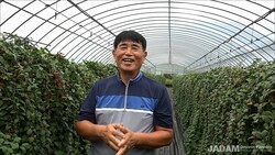 그 많던 총채와 진딧물은 어디로? JMP.S는 퍼펙트하다!