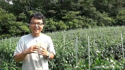 미생물농약(JMP) 평당 단가를 계산해봤습니다
