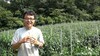 미생물농약(JMP) 평당 단가를 계산해봤습니다